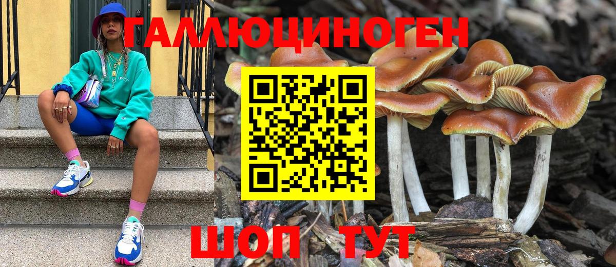 Псилоцибиновые грибы прущие грибы  Псилоцибиновые грибы Cubensis  Вход с VPN  цены наркотик  Елец 