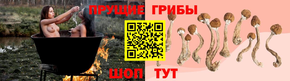 Псилоцибиновые грибы MAGIC MUSHROOMS Елец